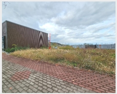  2024Ÿ37125  ׽  õ  1563-1     ()