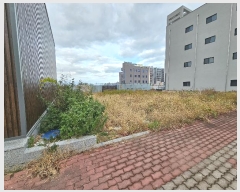  2024Ÿ37125  ׽  õ  1563-1     ()