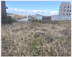  2024Ÿ37125  ׽  õ  1563-1     ()