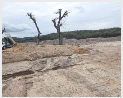  2024Ÿ��3443 ��� ���׽� �ϱ� ������ ���θ� ��147-1     ����(�Ӿ�)���