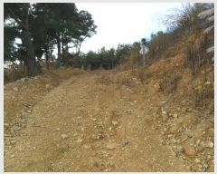  2024Ÿ3689  ׽ ϱ ϸ ⸮ 708-4     (1)