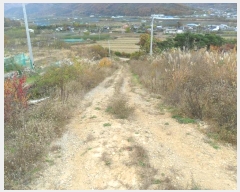  2024Ÿ3689  ׽ ϱ ϸ ⸮ 708-4     (1)