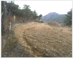  2024Ÿ3689  ׽ ϱ ϸ ⸮ 708-4     (1)