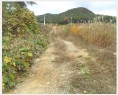  2024Ÿ3689  ׽ ϱ ϸ ⸮ 708-4     (1)