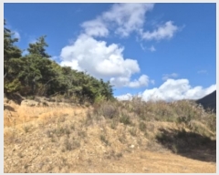  2024Ÿ3689  ׽ ϱ ϸ ⸮ 708-4     (1)