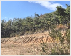  2024Ÿ3689  ׽ ϱ ϸ ⸮ 708-4     (1)