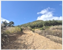  2024Ÿ3689  ׽ ϱ ϸ ⸮ 708-4     (1)