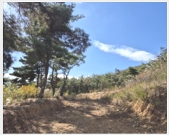  2024Ÿ3689  ׽ ϱ ϸ ⸮ 708-4     (1)