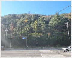  2024Ÿ��3832  �Ӿ߰��