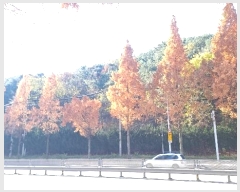  2024Ÿ��3832  �Ӿ߰��