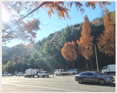  2024Ÿ��3832  �Ӿ߰��