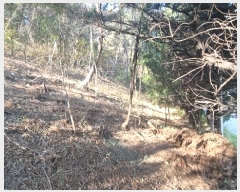  2024Ÿ��3832  �Ӿ߰��