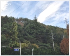  2024Ÿ��3832  �Ӿ߰��