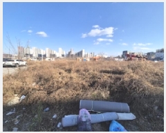  2024Ÿ4484  ׽  õ  1535-17     ()