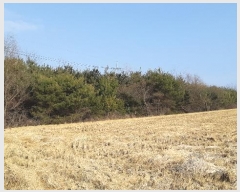  2024Ÿ4736  ׽ ϱ ûϸ ȭ 590     ()