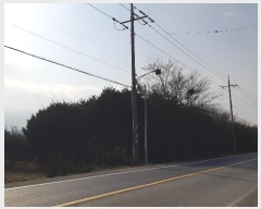  2024Ÿ4736  ׽ ϱ ûϸ ȭ 590     ()