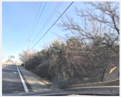  2024Ÿ4736  ׽ ϱ ûϸ ȭ 590     ()