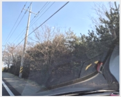  2024Ÿ4736  ׽ ϱ ûϸ ȭ 590     ()