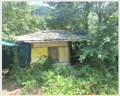  2024Ÿ��33796 ��� ���׽� �ϱ� ����� �Ͽ��� 965     ����(����)���