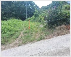  2024Ÿ��33796 ��� ���׽� �ϱ� ����� �Ͽ��� 965     ����(����)���