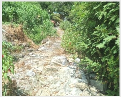  2024Ÿ��33796 ��� ���׽� �ϱ� ����� �Ͽ��� 965     ����(����)���