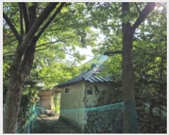  2024Ÿ��33796 ��� ���׽� �ϱ� ����� �Ͽ��� 965     ����(����)���