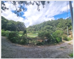  2024Ÿ34249  ׽ ϱ  121      (Ӿ)