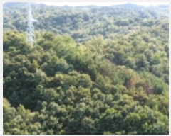  2024Ÿ34249  ׽ ϱ  121      (Ӿ)