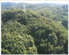  2024Ÿ34249  ׽ ϱ  121      (Ӿ)