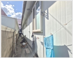  2024Ÿ��34805  �������