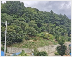  2024Ÿ��35068  �����