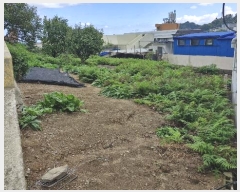  2024Ÿ��35068  �����