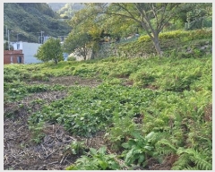  2024Ÿ��35068  �����