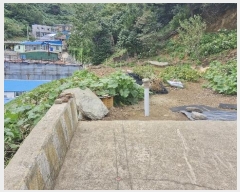  2024Ÿ��35068  �����