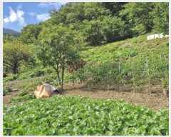  2024Ÿ��35068  �����