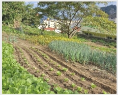  2024Ÿ��35068  �����