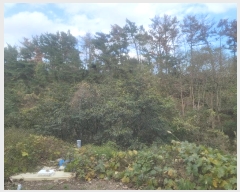  2024Ÿ36399  ׽    8-1     (Ӿ)