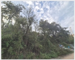  2024Ÿ36399  ׽    8-1     (Ӿ)