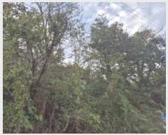  2024Ÿ36399  ׽    8-1     (Ӿ)