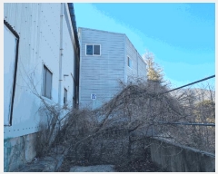  2024Ÿ��36597  ������