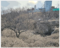  2024Ÿ��36597  ������