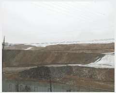  2024Ÿ36832  ׽ ϱ  θ 147-10     (Ӿ)