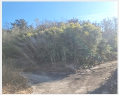  2024Ÿ��37439 ��� ���׽� �ϱ� ������ ��ȸ� ��36-2     ����(�Ӿ�)���