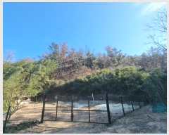  2024Ÿ��37439 ��� ���׽� �ϱ� ������ ��ȸ� ��36-2     ����(�Ӿ�)���