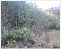  2024Ÿ��37439 ��� ���׽� �ϱ� ������ ��ȸ� ��36-2     ����(�Ӿ�)���