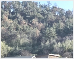  2024Ÿ��37439 ��� ���׽� �ϱ� ������ ��ȸ� ��36-2     ����(�Ӿ�)���