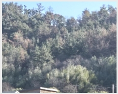  2024Ÿ��37439 ��� ���׽� �ϱ� ������ ��ȸ� ��36-2     ����(�Ӿ�)���