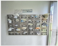  2024Ÿ37781  ׽  ߾ӷ62 4, 2 206ȣ    ǽڰ