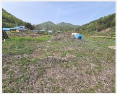  2024Ÿ��1348 ��� ���׽� ���� ���� �꼭�� 892     ����(�Ӿ�)���