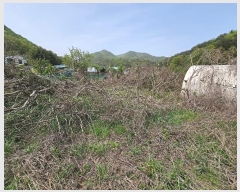  2024Ÿ��1348 ��� ���׽� ���� ���� �꼭�� 892     ����(�Ӿ�)���